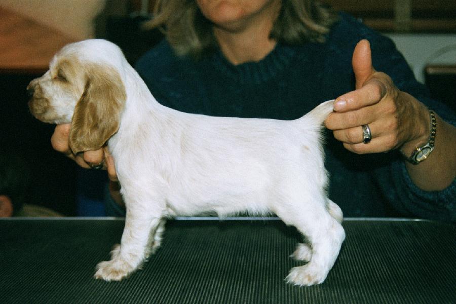 Stacked at 4 wks